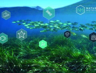 Biodiversitätsdatenbank dient als Grundlage zum Nutzen von Mensch und Natur