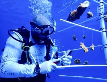Privatinsel Ocean Cay MSC Marine Reserve zum “Hope Spot” ernannt