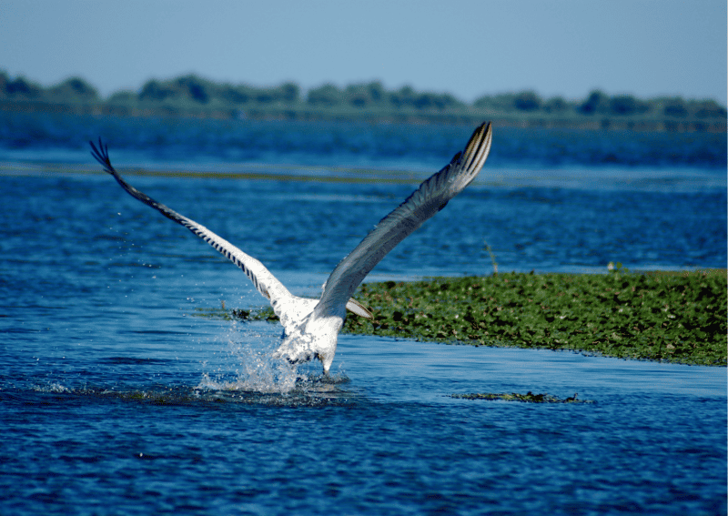 nicko cruises stellt neuen Flussreisen-Katalog für die Saison 2024 vor