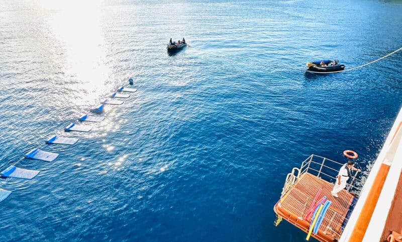 Ein Badestopp im Ozean: Ein unvergessliches Erlebnis auf der Sea Cloud Spirit