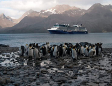 Mit der Celebrity Equinox zu den Naturschönheiten Patagoniens und der Antarktis