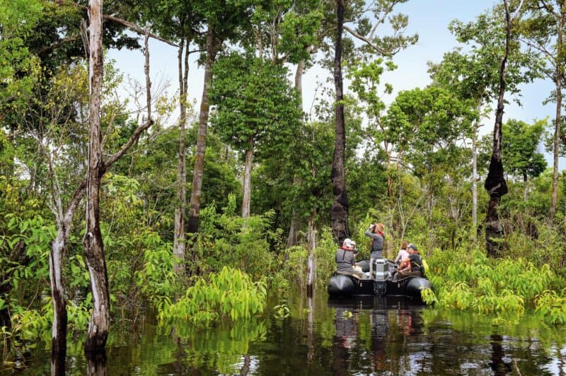 Von Belém nach Iquitos: Eine Reise in die verborgene Welt des Amazonas mit Hanseatic nature