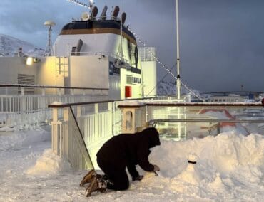 Winterzauber und Mitternachtssonne: Die norwegische Küstenroute mit Havila Voyages aus zwei Perspektiven