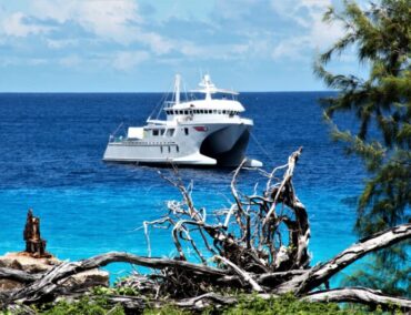 Expeditions-Kreuzfahrt zum Aldabra-Atoll: Naturerlebnis in kleiner Runde