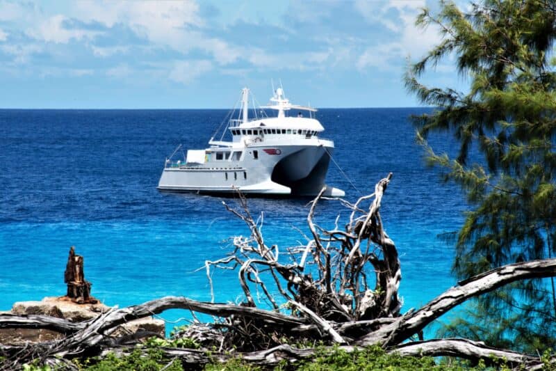 Expeditions-Kreuzfahrt zum Aldabra-Atoll: Naturerlebnis in kleiner Runde