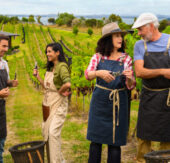 Das Traumschiff in Auckland: Wein, Konflikte und Neuseelands Magie