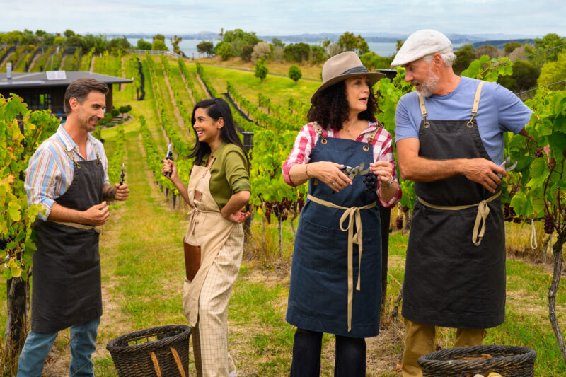 Das Traumschiff in Auckland: Wein, Konflikte und Neuseelands Magie