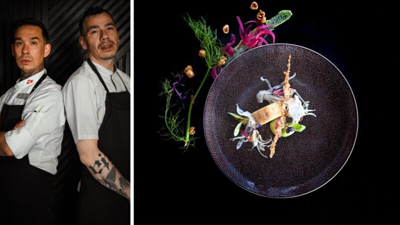 Tief eintauchen statt nur entdecken – Die neuen Reisen 2027/28 von HX Expeditions