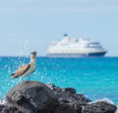HX Expeditions setzt für Galapagos Reisen mit eigenem Katalog neue Massstäbe