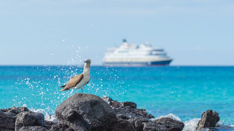 HX Expeditions setzt für Galapagos Reisen mit eigenem Katalog neue Massstäbe