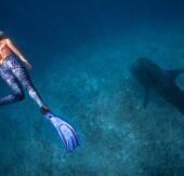 Raja Ampat erleben: Swan Hellenic erweitert Programm mit exklusiven Tauch-Expeditionen