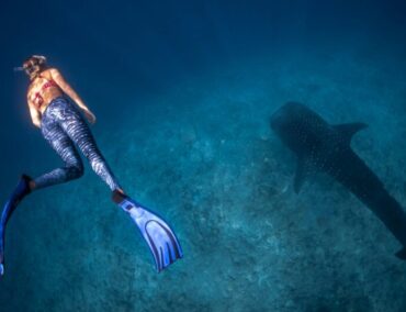 Raja Ampat erleben: Swan Hellenic erweitert Programm mit exklusiven Tauch-Expeditionen