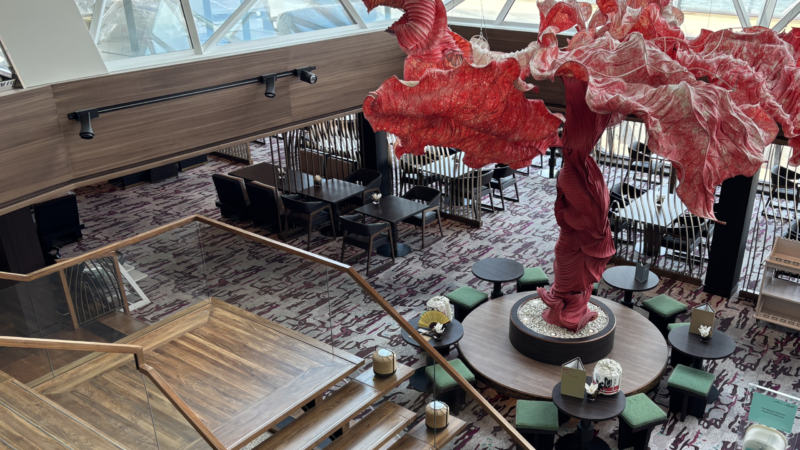 Mikroplastik ade: Wie die Mein Schiff 5 den Ozean schützt