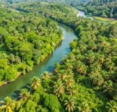 Vom Amazonas bis zur Osterinsel – Unvergessliche Momente auf der Vasco da Gama Weltreise