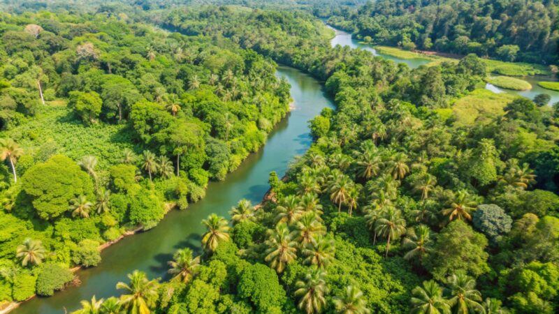 Vom Amazonas bis zur Osterinsel – Unvergessliche Momente auf der Vasco da Gama Weltreise