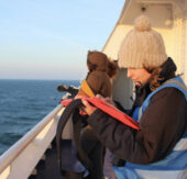 MSC Cruises und ORCA starten wegweisende Partnerschaft für Meeresschutz in Alaska