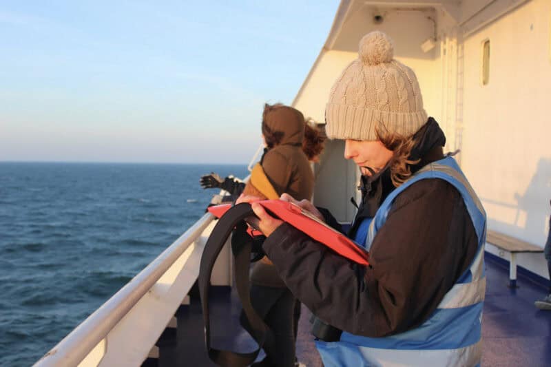 MSC Cruises und ORCA starten wegweisende Partnerschaft für Meeresschutz in Alaska